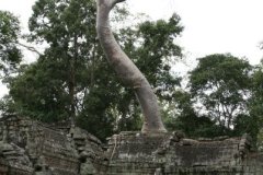 Amazing Angkor