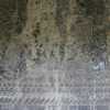 sculptures of angkor wat