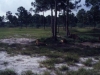 lion country safari florida 1984