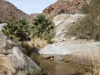 pond-in-borrego-palm-canyon