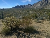 in-the-middle-of-mojave-national-preserve