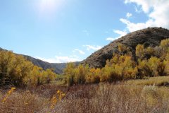 Big Morongo Canyon Preserve 2014