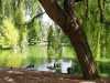 jardin public looks nice
