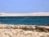 cap ferret beach and europes highest dunes