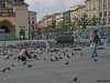 krakow pidgeon park