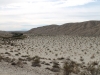 1000 Palm Canyon wash and San Andreas Fault induced sandy hills