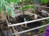 a-hot-spring-in-indian-canyon-palm-springs