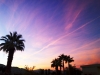 another-beautiful-sunset-in-palm-springs
