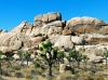 joshua-tree-park-boulders-panorama