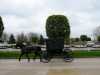 amish horse buggy in shipsewana indiana usa