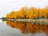 last fall colours reflecting in membhremagog lake canada