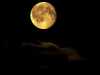 bad moon rising in helsinki