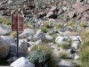 PCT before entering San Jacinto mountains