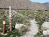 PCT start at Snow Creek towards Banning Pass