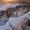 winter seen through our bedroom window