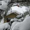 it has been snowing every other day