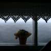 snow has closed the window from outside