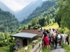 meet-alpacas-on-family-hiking-trail