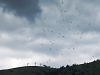 paragliders-take-off-at-world-cup