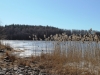 luontoa-ainolassa