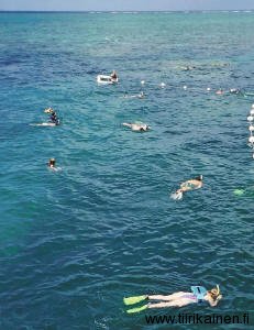 aus-snorklaten-suurella-valliriutalla-2002