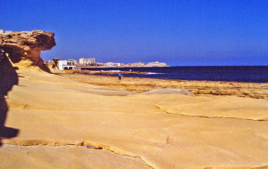 MLT-Slieman kivibeach_1