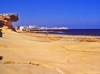 MLT-Slieman kivibeach_1