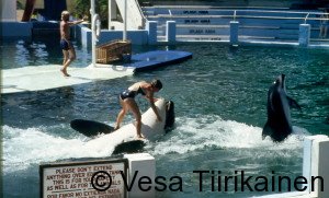 USA-Miami Seaquarium 1984_1