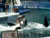USA-Miami Seaquarium 1984_1