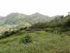 walking on mauritius mountains