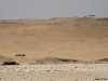desert starts in giza egypt