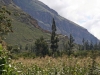 02-ollantaytambo