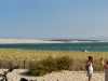 cap_ferret_panoraama