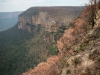 palanut-eukalyptusmetsa-ja-blue-mountains-australia.jpg