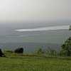lonely baboon admiring the view over Lake Manyara