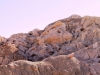 mecca-hills-shades-of-red