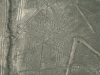 hamahakki