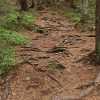 track in nuuksio national park