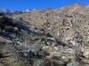 west-fork-palm-canyon-rising-to-mountains