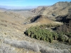 west-fork-trail-start-at-palm-canyon