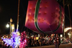 Palm Springs Festival of Lights Parade 2014