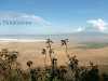 ngorongoro_panorama_one_third.jpg