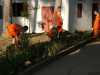 monks at work in laos