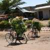 Bicycles transporting goods