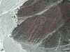 astronaut in nasca peru