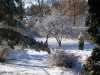 08-04-2013-beautiful-april-morning