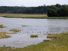 18-8-2013-sea-birds-gather-in-helsinki-old-town-bay-jpg
