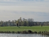 20-10-2013-golf-by-frozen-pond-paloheina