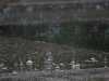6-7-2013-thunderstorm-on-ground