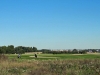 6-9-2013-paloheina-golf-and-harvesting-wheat